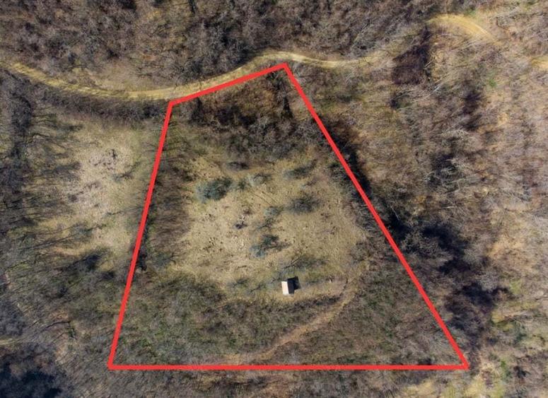 Teren de 8900 mp, în Laz (Săsciori)