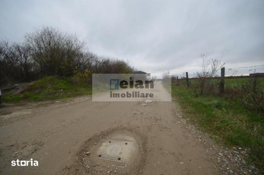 Teren de 3000 mp, în Mogoșoaia