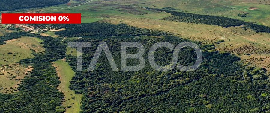 Teren extravilan de 127000 mp, în Mag