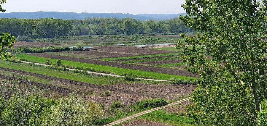 Teren de 760 mp, în Brădești