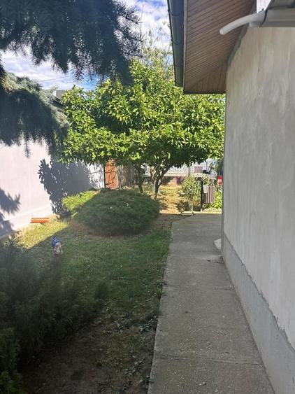 Buturugeni, Giurgiu - 12