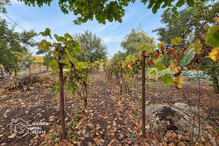 Casă individuală cu 3 camere cu Teren 1349 Mp în Galșa