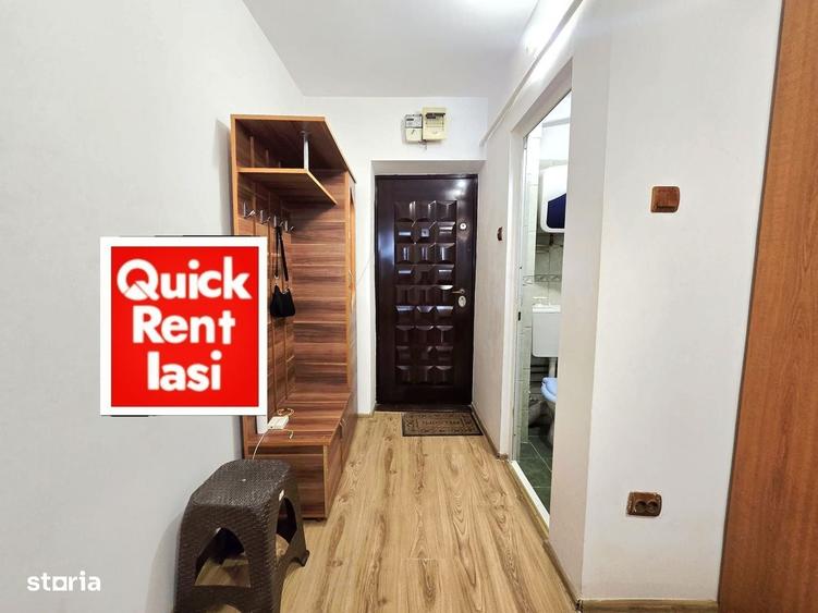 Alexandru Cel Bun - Garsoniera De Inchiriat Mobilata 250eur - 10