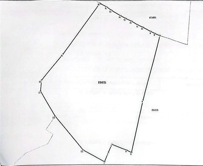 Teren Construcții intravilan de 21432 mp, în Plaiul Foii