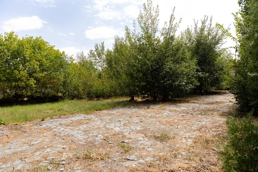 Teren Construcții intravilan de 1773 mp, în Prelungirea Ghencea
