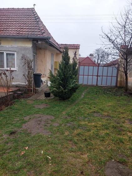 Casa Copacel brasov - 5