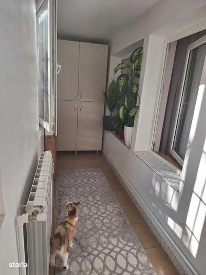 Apartament cu 2 camere în Ciupercenii Noi