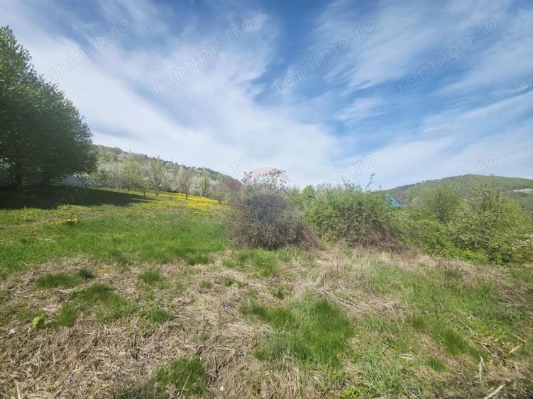Teren de 1000 mp, în Calea Romanului