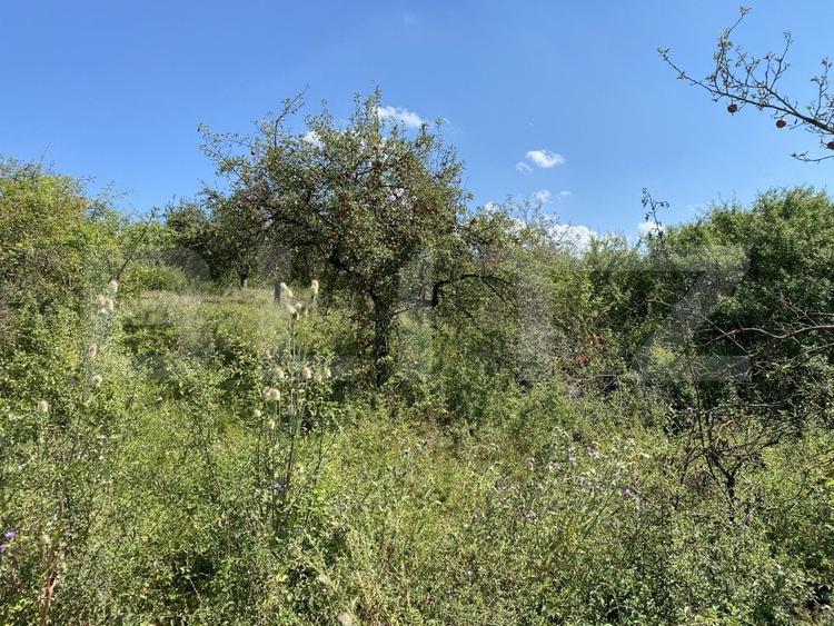 Teren agricol extravilan de 3800 mp, în Recea