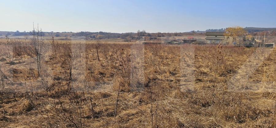 Teren Construcții intravilan de 1550 mp, în Sâncraiu