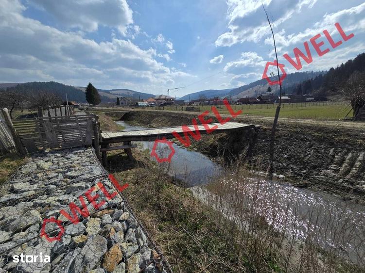 Teren de 4800 mp, în Sita Buzăului