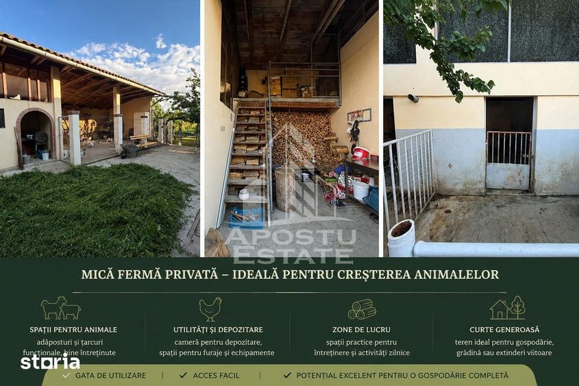 Casă cu 7 camere cu Teren 1000 Mp în Ghiroda