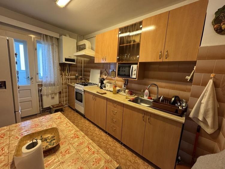 Persoana fizica dau in chirie ap 2 camere Zorilor - 3