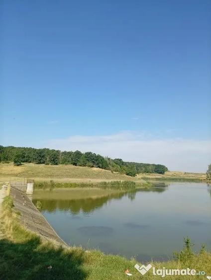 Teren în Schitu Poienari