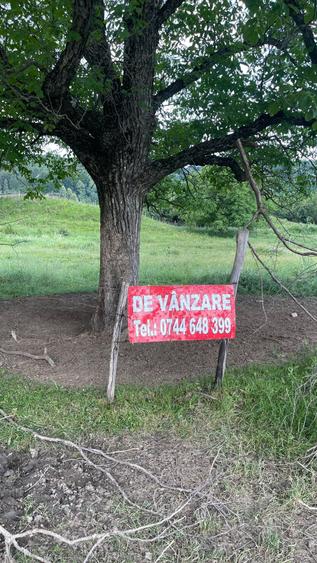 Teren de 1625 mp, în Poiana