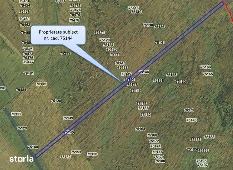 Teren de 24200 mp, în Muntenii de Jos