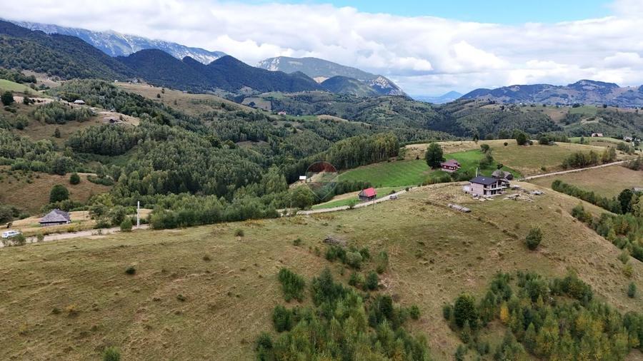 Teren agricol intravilan de 6801 mp, în Șirnea