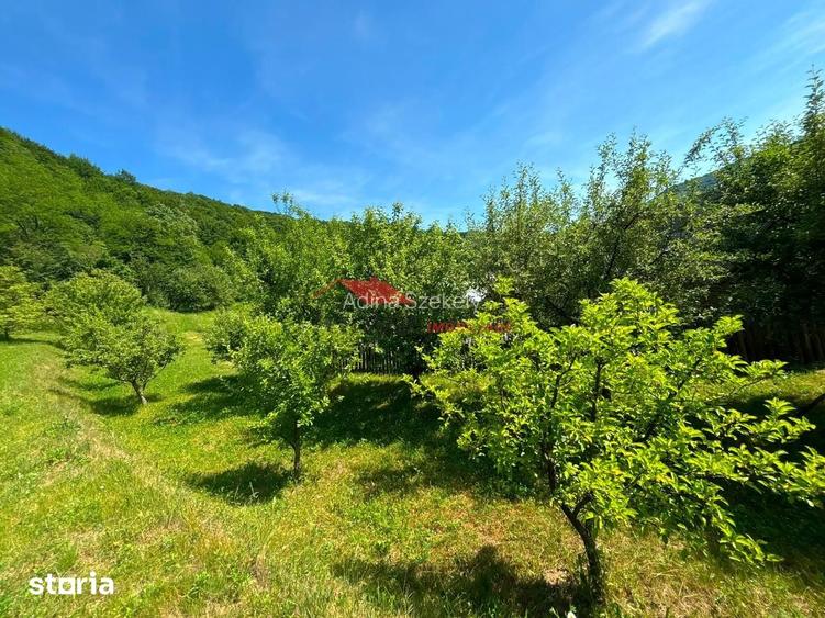 Casă cu 3 camere cu Teren 900 Mp în Târlișua