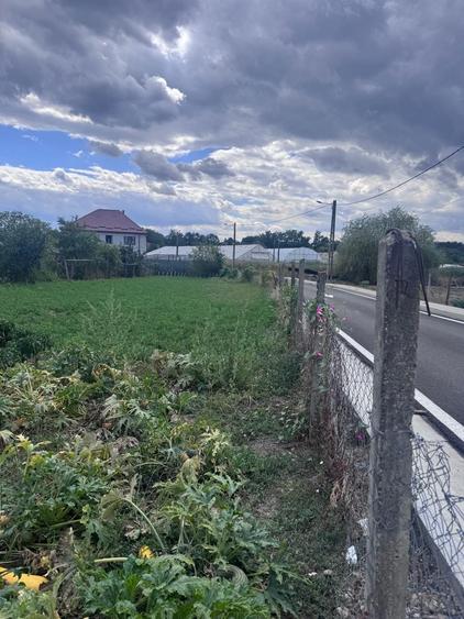 Casă cu 2 camere în Central