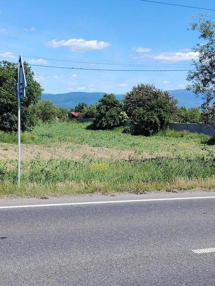 Teren de 3400 mp, în Jupa