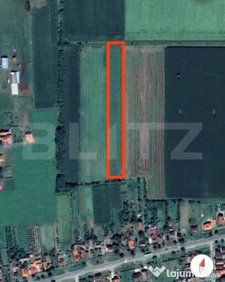 Teren cu nuci, 5.400mp, zona - Decebal, Comuna Veti? - 1