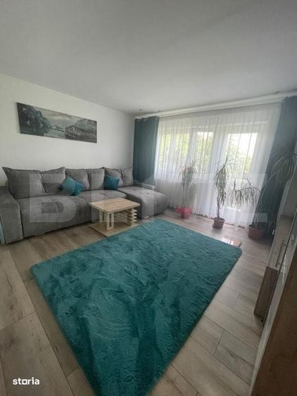 Apartament cu 2 camere în Viișoara