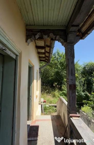 Casa | Bradetu, Arges | Crama | Tranfagarasan | Vidraru - Bradulet (Arges) - 5