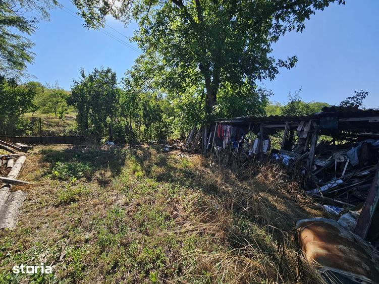 Casă cu 3 camere cu Teren 8338 Mp în Dobra