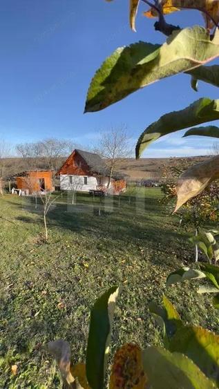 Cabana deosebita cu livada ?i panorama superbarefugiu in natura, langa Blaj - 12