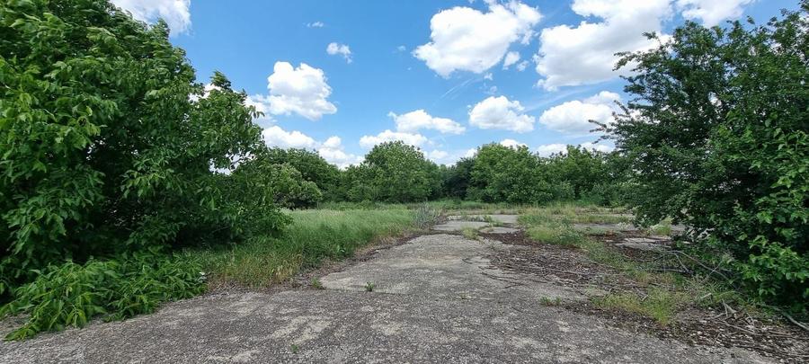 Teren agricol intravilan de 80000 mp, în Est