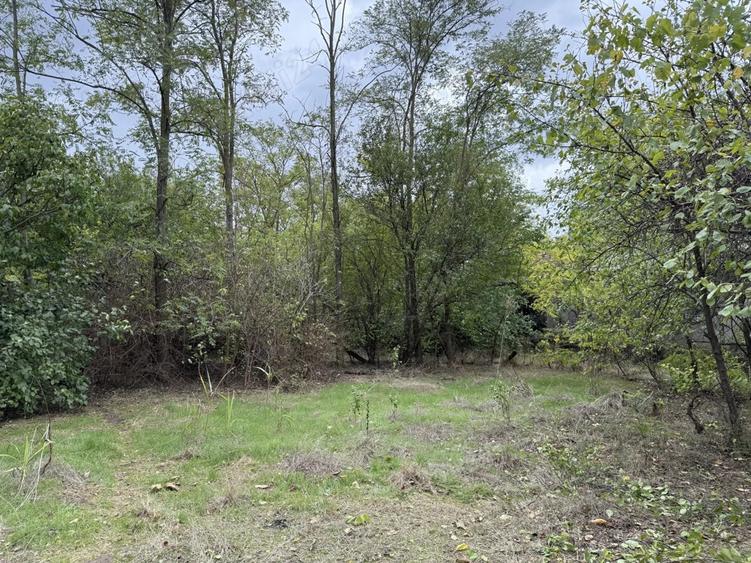 Teren intravilan Sat Cunesti ,Calara?i - 1