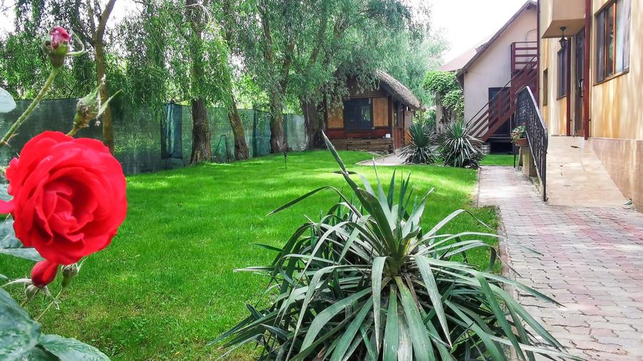 Casă individuală cu 12 camere cu Piscina în Uzlina