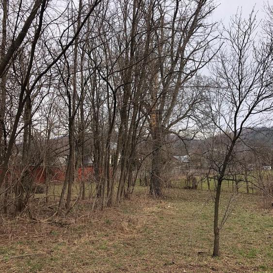 Teren Construcții intravilan de 6000 mp, în Central
