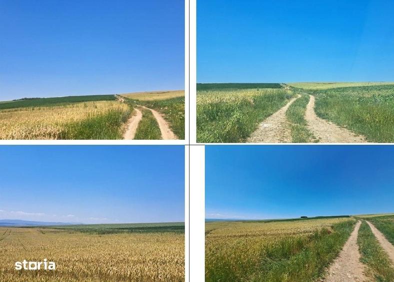 Teren de 4650 mp, în Ciohorăni