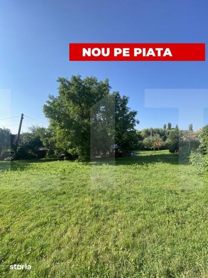 Teren de 1000 mp, în Central