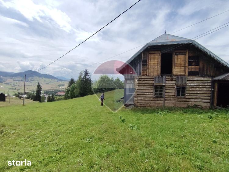 Teren de 33364 mp, în Dorna Candrenilor