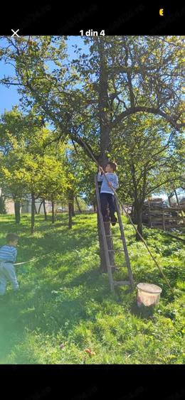 Teren de 853 mp, în Rod