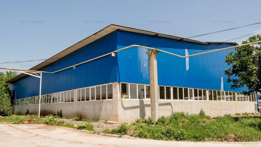 Ofertă închiriere hală/atelier auto cu birouri în Vânători,  Galați - 6