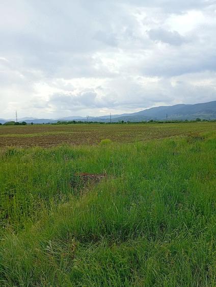 Teren de 2900 mp, în Central