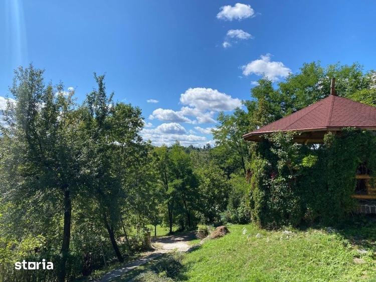 Casă cu 6 camere cu Teren 17000 Mp în Dumbrăvița