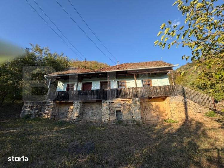 Casa de vanzare cu priveliste frumoasa si teren - 1
