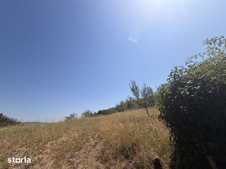 Teren de 3800 mp, în Meseșenii de Jos