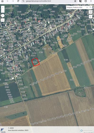 Teren de 1566 mp, în Gorgota