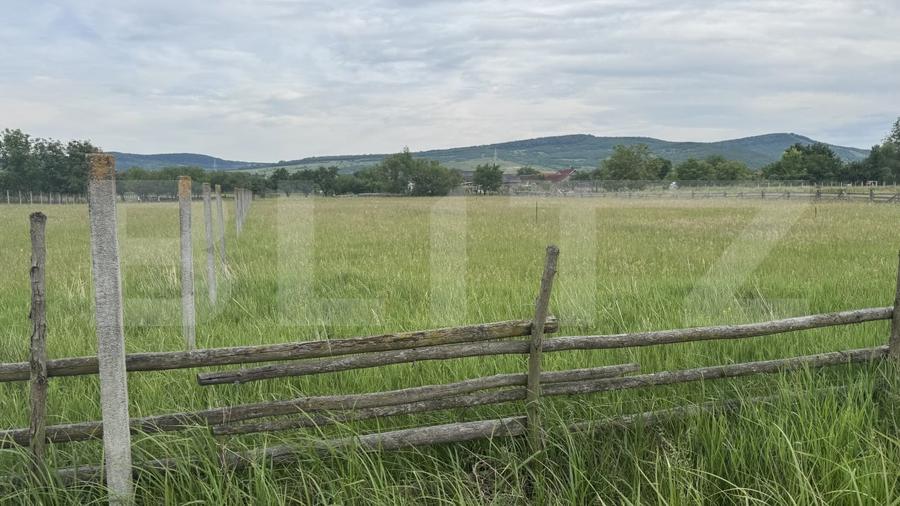 Teren Construcții intravilan de 1100 mp, în Livezile