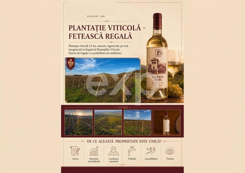 Teren agricol intravilan de 53560 mp, în Vrănești