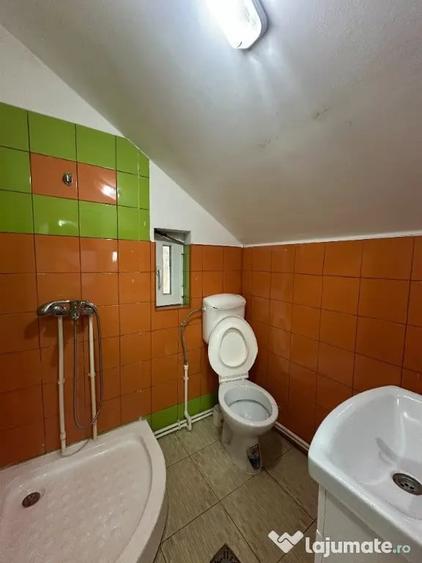 VIGAFON - Casa 8 camere Negoiesti-Prahova - 9