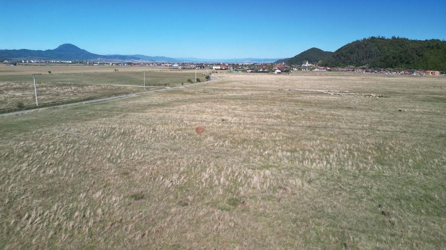 Teren Construcții extravilan de 14500 mp, în Glăjărie