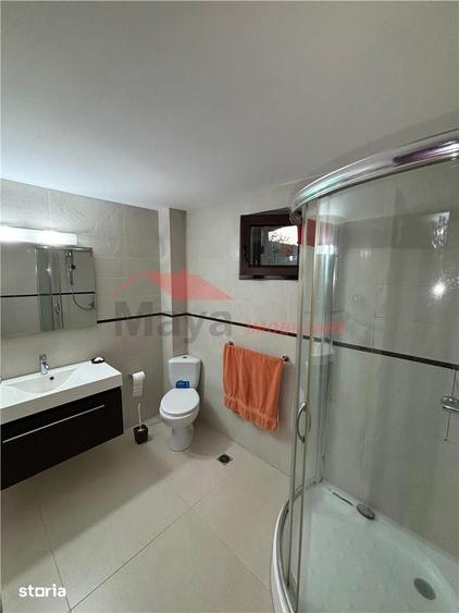 Casă cu 4 camere cu Teren 8000 Mp în Mintiu Gherlii
