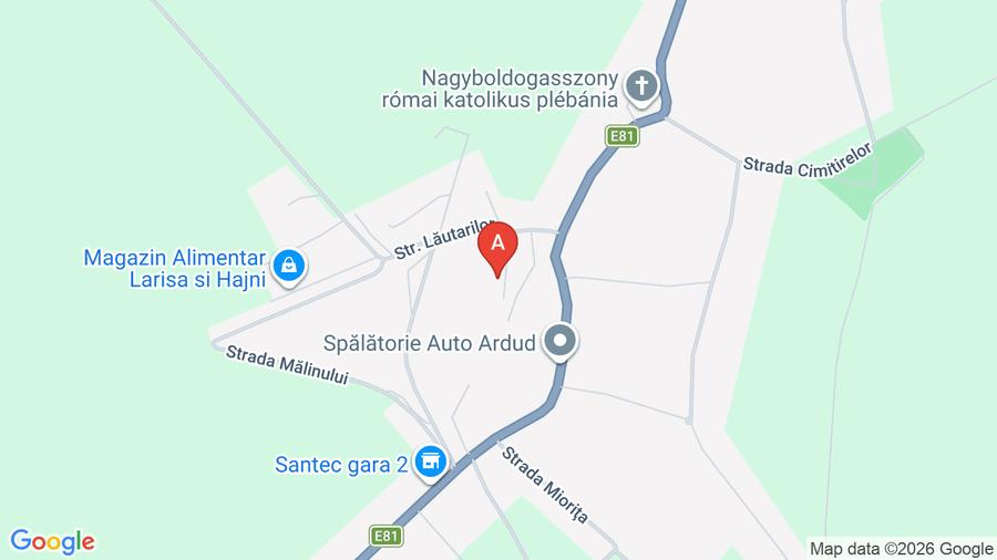 Teren Construcții intravilan de 200 mp, în Ardud