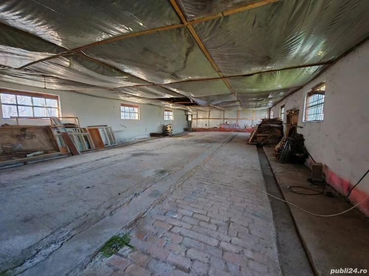 Teren de 7000 mp, în Laza
